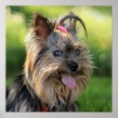 Search for funny dog posters Puppy