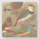Search for pets coasters Bird