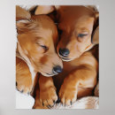 Search for dog sleeping art Dachshund