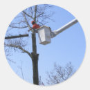 Search for tree work stickers Nature