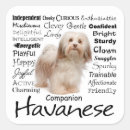 Search for havanese stickers Animal