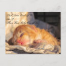 Search for cat god postcards Kitten