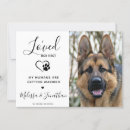 Search for dog wedding invitations Pet photo