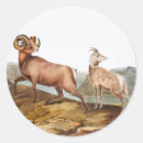 Search for rocky mountains stickers Vintage