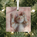 Search for orange kitten christmas tree decorations Domestic animals