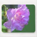 Search for pink azalea electronics Nature