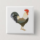 Search for roosters badges Farm