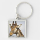 Search for cooper key rings Outdoors