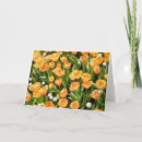 Search for snowdrop flower cards Nature