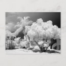Search for keys postcards Black and white