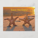Search for starfish save the dates Tropical