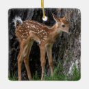 Search for fawn christmas tree decorations Deer