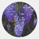 Search for beauty nature stickers Flowers