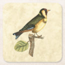 Search for birds coasters Animal