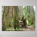 Search for woodland birthday posters Trees