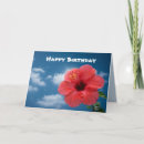 Search for hibuscus Hibiscus