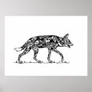Search for african wild dogs posters Wildlife