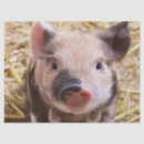 Search for piglet gift wrap Adorable
