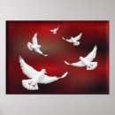 Search for white dove peace posters Doves