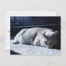 Search for nap postcards Lazy