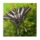 Search for butterfly tiles White