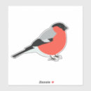 Search for bullfinch stickers Winter