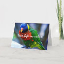 Search for wildlife photography cards Bird