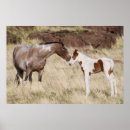 Search for maree posters Horse