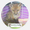 Search for baby foxes stickers Wildlife