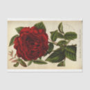 Search for ephemera Script