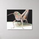 Search for life sciences art Micrography