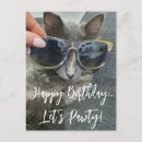Search for white cat birthday cards Funny