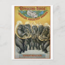Search for sousaphone postcards Vintage