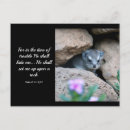 Search for kjv postcards Bible verse