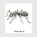 Search for emmet stickers Insect
