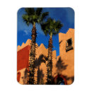 Search for resort magnets Palm tree