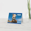 Search for horses anniversary cards Funny