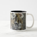 Search for bengal tiger mugs Nature