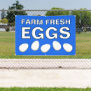 Search for eggs for sale signs Farm