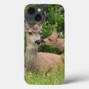 Search for odocoileus electronics Deer