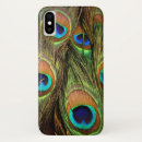 Search for peacock cases Photography
