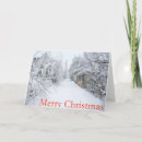 Search for new mexico christmas cards Snow