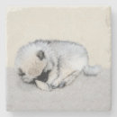 Search for dog sleeping barware Grey