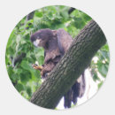 Search for bald eagles stickers Wildlife