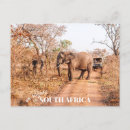 Search for nature reserve postcards Safari