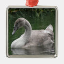 Search for grace christmas tree decorations Cute