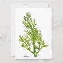 Search for herbs invitations Dill