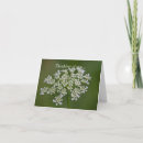 Search for annes cards Queen annes lace