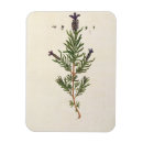 Search for blackwell magnets Fl 1757 82