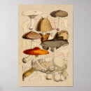 Search for red brown art Vintage